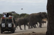 4-Day Tarangire, Serengeti, Ngorongoro Crater