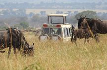 4-Day Tarangire, Serengeti, Ngorongoro Crater