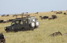 4-Day Tarangire, Serengeti, Ngorongoro Crater