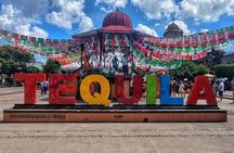 Visit to Tequila and Horseback Riding Among the Agave Landscape