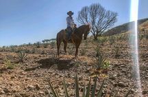 Visit to Tequila and Horseback Riding Among the Agave Landscape