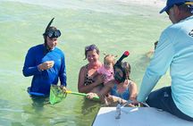 Private 4-Hour Beach Tour St. Petersburg, FL