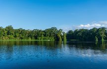 Tortuguero: Kayak tour + Spawn turtle or night jungle 