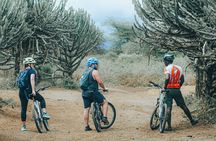 Private Cycle to Kilimanjaro Bike Park Safari