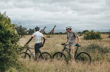 Cycle Kili to Ngorongoro Crater