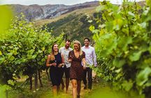Award Winning Premium Wine Tour Queenstown Tasting at 4 Wineries