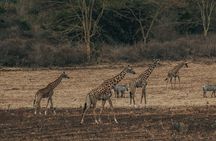 Private Cycle to Kilimanjaro Bike Park Safari