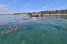 Private Snorkeling with Sea Turtles