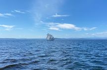 Sailing Harbor Experience