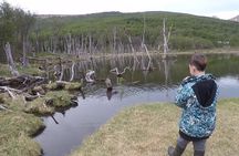 Half Day Tour to Lake Fagnano and Escondido