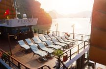 Day Tour Peony Cruise From Lan Ha Bay