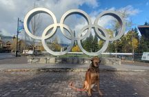 Private Tour: Stanley Park, Sea to Sky Gondola & Whistler