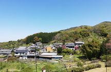Ancient Nara Walking and Cycling Tour in Asuka