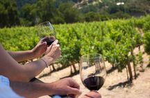 Winery Tour and tasting