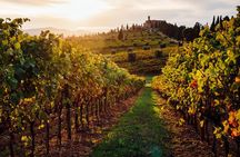 Winery Tour and tasting