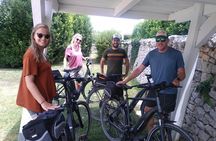 Ebike tours: the villages of Valle d'Itria and tasting of typical products