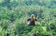 Bali Ubud Jungle Swing: Monkey Forest and Waterfall Private Tour