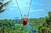 Bali Ubud Jungle Swing: Monkey Forest and Waterfall Private Tour