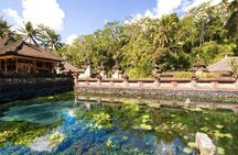 Bali Ubud Jungle Swing: Monkey Forest and Waterfall Private Tour