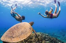 Abu Dabbab Semi Private Snorkeling with Lunch & Transfer Hurghada