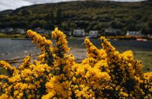 A Day on the Isle of Arran Including Admission from Glasgow