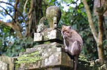 All Inclusive Tour to Tanah Lot Temple and Monkey Forest