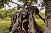 Nandi Trail Tour