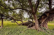Nandi Trail Tour