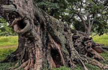 Nandi Trail Tour