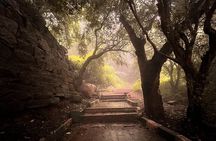 Nandi Trail Tour