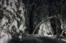 Nocturnal Skiing: Experience the Arctic's Magic