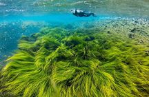Double Snorkeling Adventure near Húsavík in North Iceland