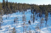 Guided Daytime Ski Adventure: Explore Private Trails by Rovaniemi