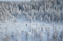 Guided Daytime Ski Adventure: Explore Private Trails by Rovaniemi