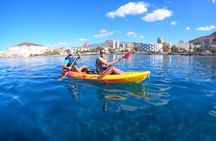 Tenerife: Kayak and snorkel with marine life safari