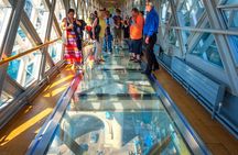 Easy Access Tower Bridge and Engine Room & Scenic Thames Cruise