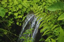 Bali Spiritual: Blessing Ceremony, Pristine Nature and Transfer