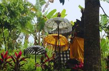 Bali Spiritual: Blessing Ceremony, Pristine Nature and Transfer