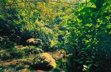 Bali Spiritual: Blessing Ceremony, Pristine Nature and Transfer