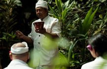 Bali Spiritual: Blessing Ceremony, Pristine Nature and Transfer