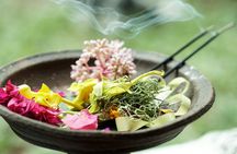 Bali Spiritual: Blessing Ceremony, Pristine Nature and Transfer