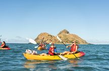  Guided Kayak Tour to Kailua’s Twin Islands