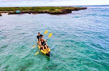 Self-Guided Kayaking Tour in Kailua Bay and Popoia Island 