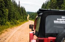 Cape Clear Look-off Express - Private Jeep Tour