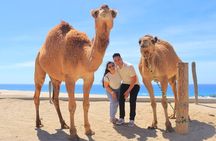 Beach ATV & Camel Ride COMBO in Cabo by Cactus Tours Park