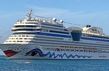 Experience Easter Island Shared Tour for Cruise Ship Passengers 