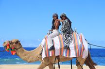 UTV Adventure + Free Camel Ride & Sky Bikes