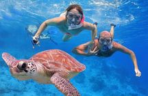 San Juan Guided Snorkeling Experience - With Transport 8am or 3pm