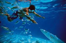 San Juan Guided Snorkeling Experience - With Transport 8am or 3pm
