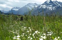 Waterton Lakes National Park | Private Exclusive Tour